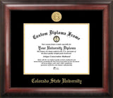 Colorado State University Gold Embossed Diploma Frame