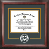 Colorado State Spirit Diploma Frame