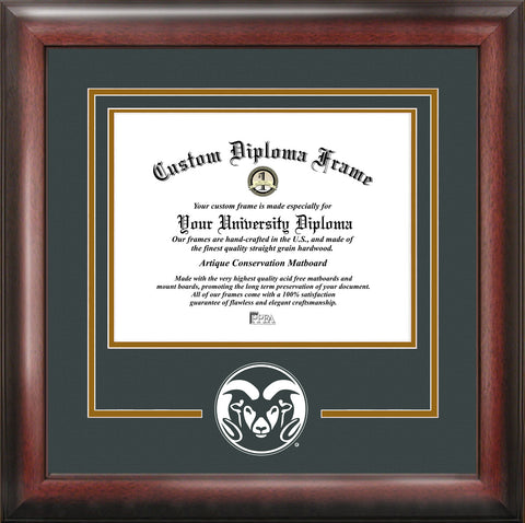 Colorado State Spirit Diploma Frame