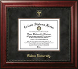 Tulane University  Executive Diploma Frame
