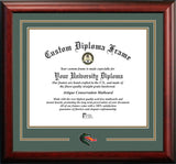 University of Alabama, Birmingham  Spirit Diploma Frame