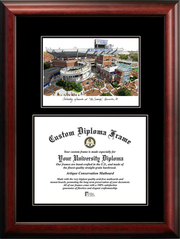 University of Florida , the Swamp 16w x 11.5h Diplomate
