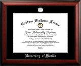 University of Florida 16w x 11.5h Silver Embossed Diploma Frame