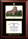 DePaul University 11w x 8.5h Gold Embossed Diploma Frame with Campus Images Lithograph