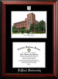 DePaul University 11w x 8.5h Silver Embossed Diploma Frame with Campus Images Lithograph