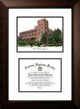DePaul University 11w x 8.5h Legacy Scholar Diploma Frame