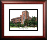 DePaul University Alumnus Framed Lithograph