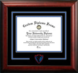 DePaul University 11w x 8.5h Spirit Diploma Frame