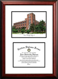 DePaul University 11w x 8.5h Scholar Diploma Frame