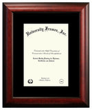 Satin Mahogany Frame only