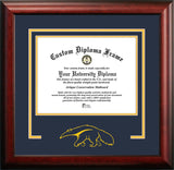 University of California, Irvine 8.5 x 11 Spirit Diploma Frame