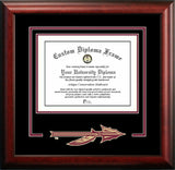 Florida State University 14w x 11h Spirit Diploma Frame