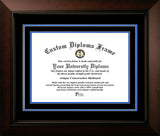 University of Florida 16w x 11.5h Blue and Orange Diploma Frame