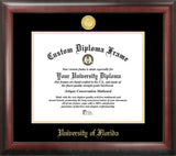 University of Florida 16w x 11.5h Gold Embossed Diploma Frame