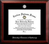 University of Texas, San Antonio 14w x 11h Silver Embossed Diploma Frame