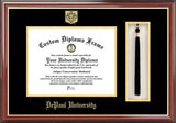 DePaul University 11w x 8.5h Tassel Box and Diploma Frame
