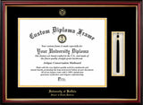 University at Buffalo,School of Dental Medicine 20w x 16h Tassel Box and Diploma Frame