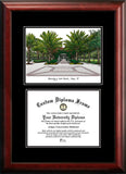 University of South Florida Diplomate Diploma Frame