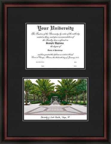 University of South Florida 11w x 8.5h Diplomate Diploma Frame
