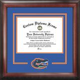 University of Florida Gators 16w x 11.5h Spirit Diploma Frame