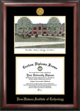 Rose Hulman Institute of Technology 11w x 8.5h Gold Embossed Diploma Frame with Campus Images Lithograph