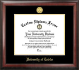 University of Toledo  10w x 8h Gold Embossed Diploma Frame