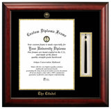 The Citadel 16w x 20h Tassel Box and Diploma Frame