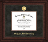 Michigan State  Executive Diploma Frame