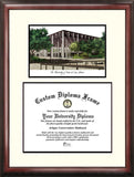 University of Texas, San Antonio 14w x 11h Scholar Diploma Frame