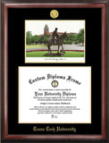 Texas Tech University 14w x 11h Gold Embossed Diploma Frame with Campus Images Lithograph