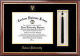 Tulane University Tassel Box and Diploma Frame