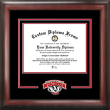 Wisconsin Badgers  Spirit Diploma Frame